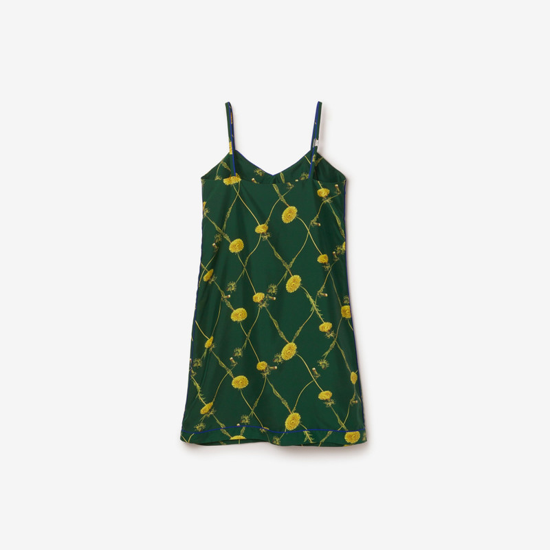 Dandelion Silk Dress 5