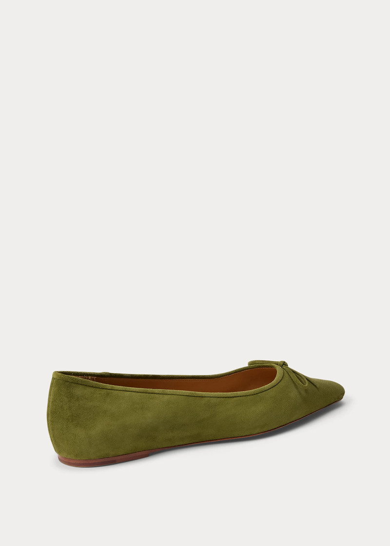 Suede Pointed Ballet Flat 3