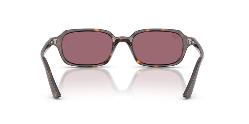 ZURI BIO-BASED LIMITED 6