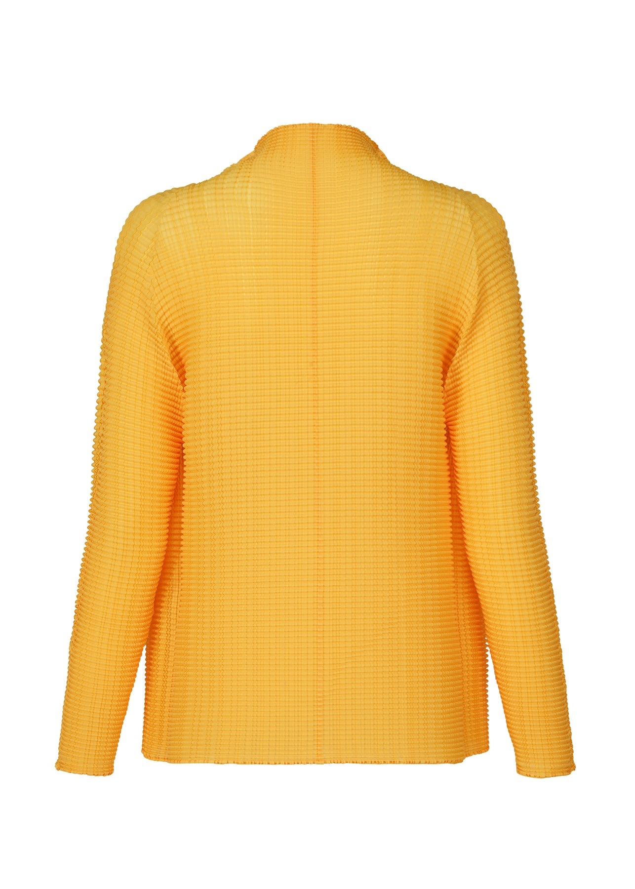 WOOLY PLEATS-38 TOP - 2