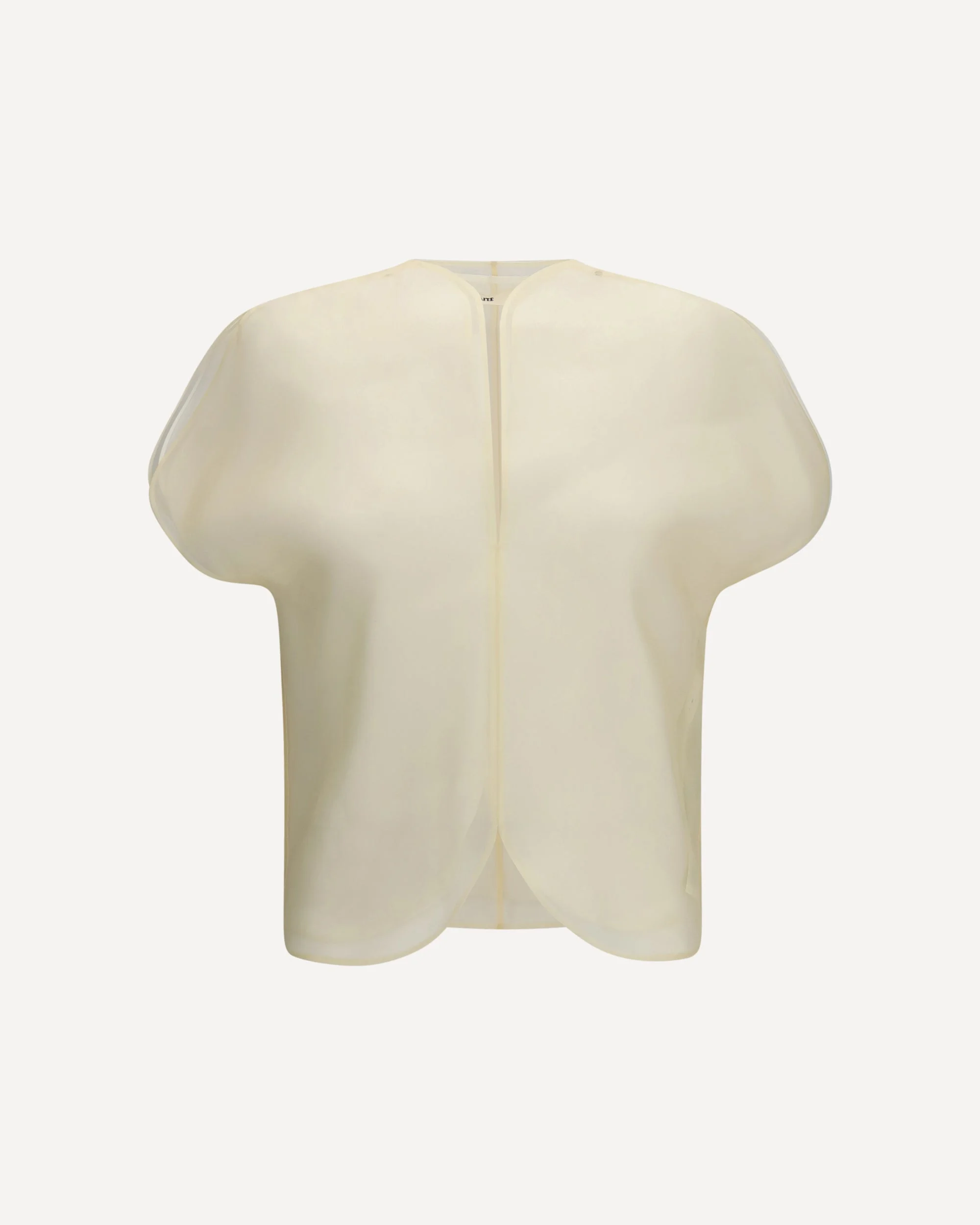 Briar silk organza Top - 1