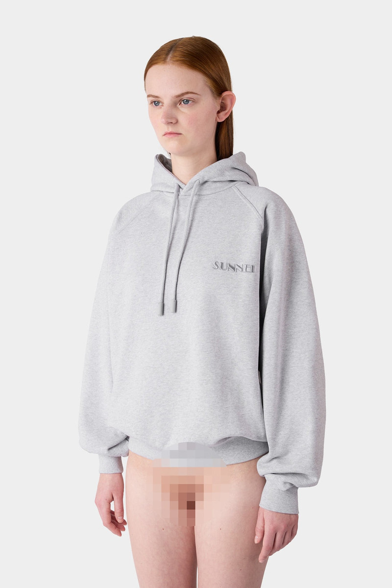 SMALL LOGO EMBROIDERED HOODIE / grey melange 3