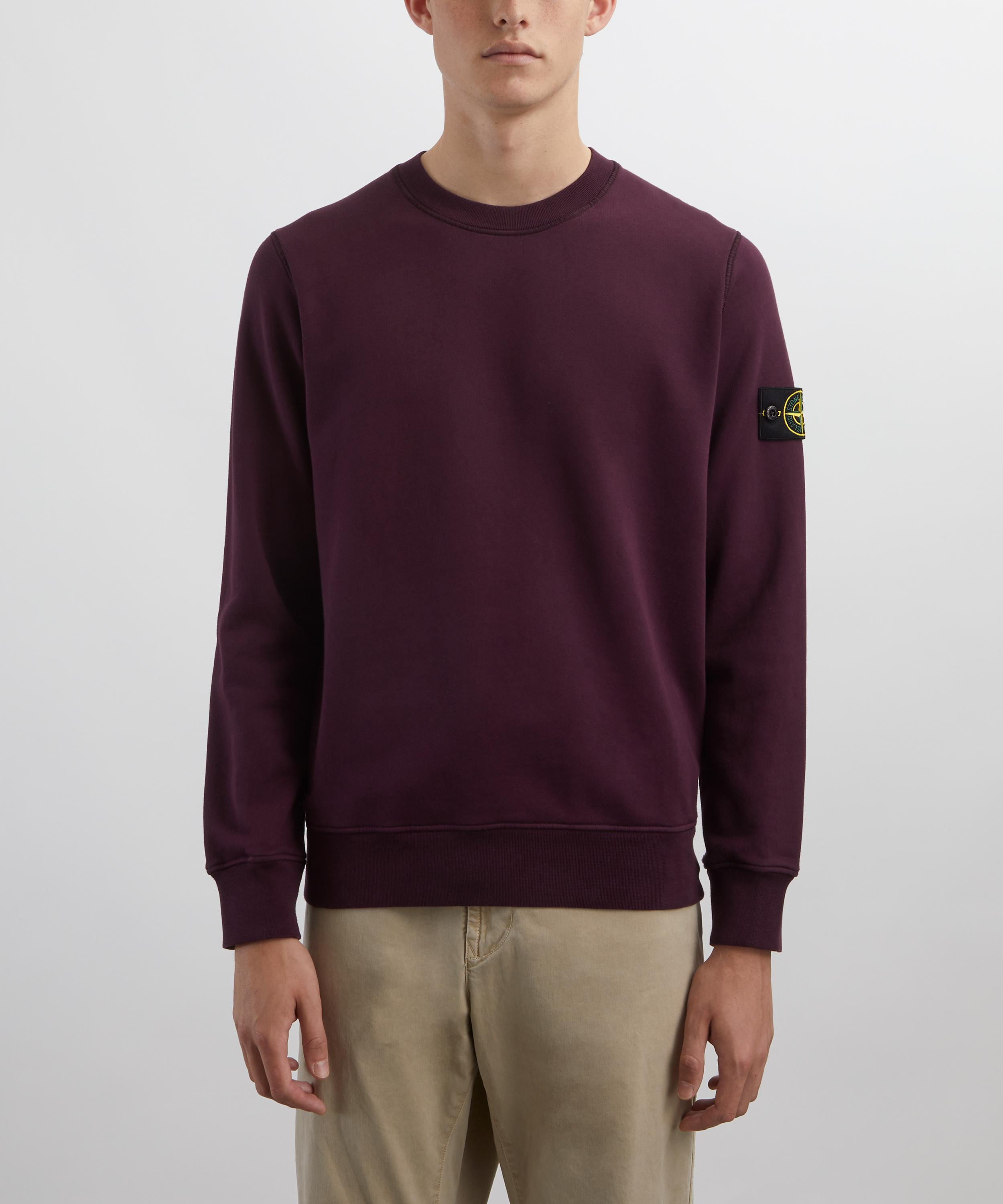 Cotton Fleece Crew-Neck Sweatshirt - 3