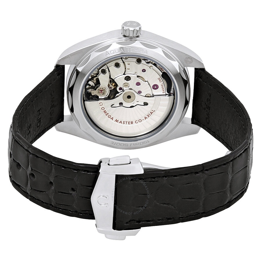 Omega Seamaster Aqua Terra Automatic Black Dial 41 mm Men's Watch 220.13.41.21.01.001 - 3