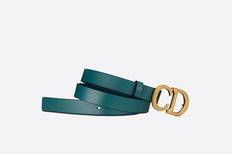 Dior Saddle Belt outlook