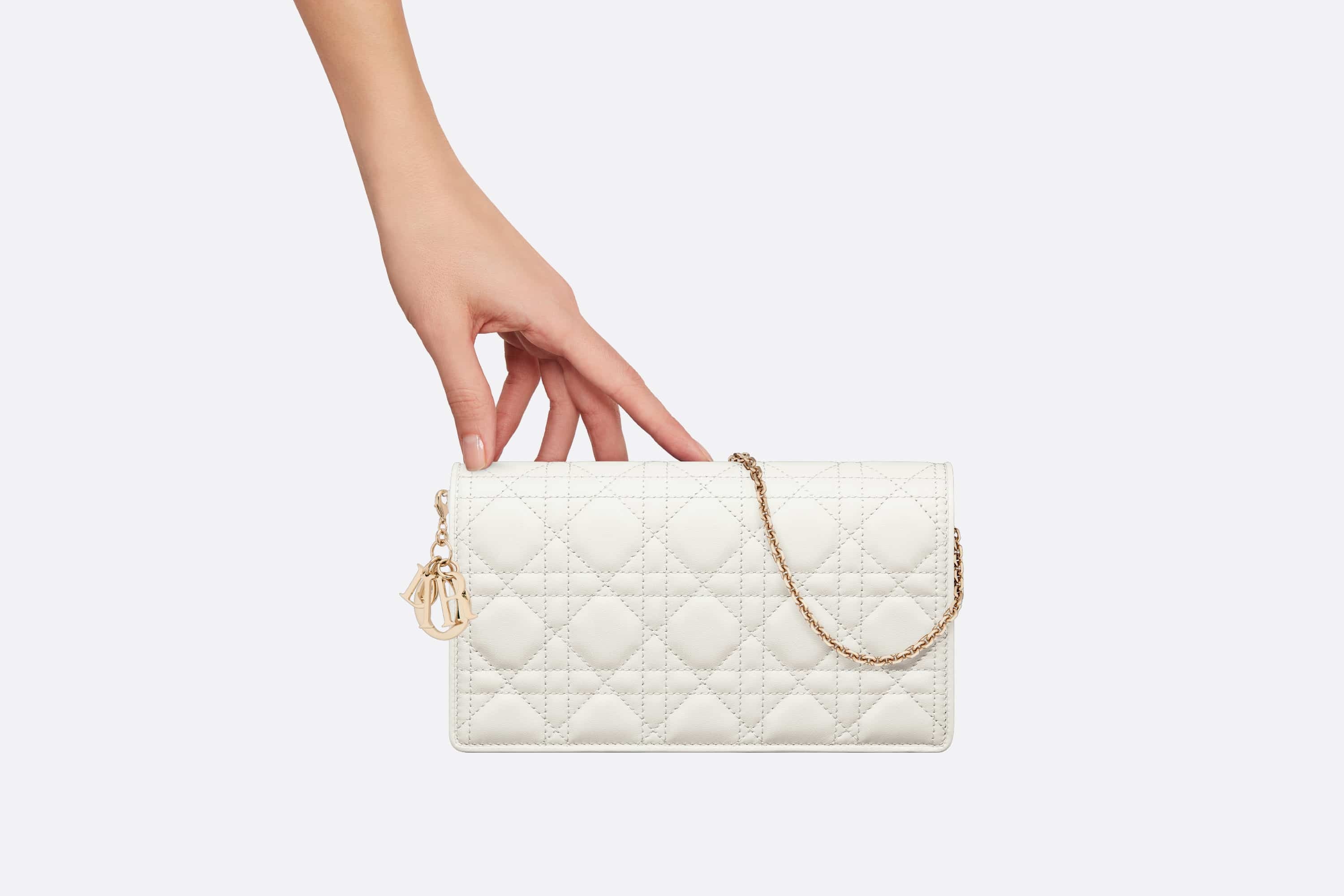 Lady Dior Pouch - 7