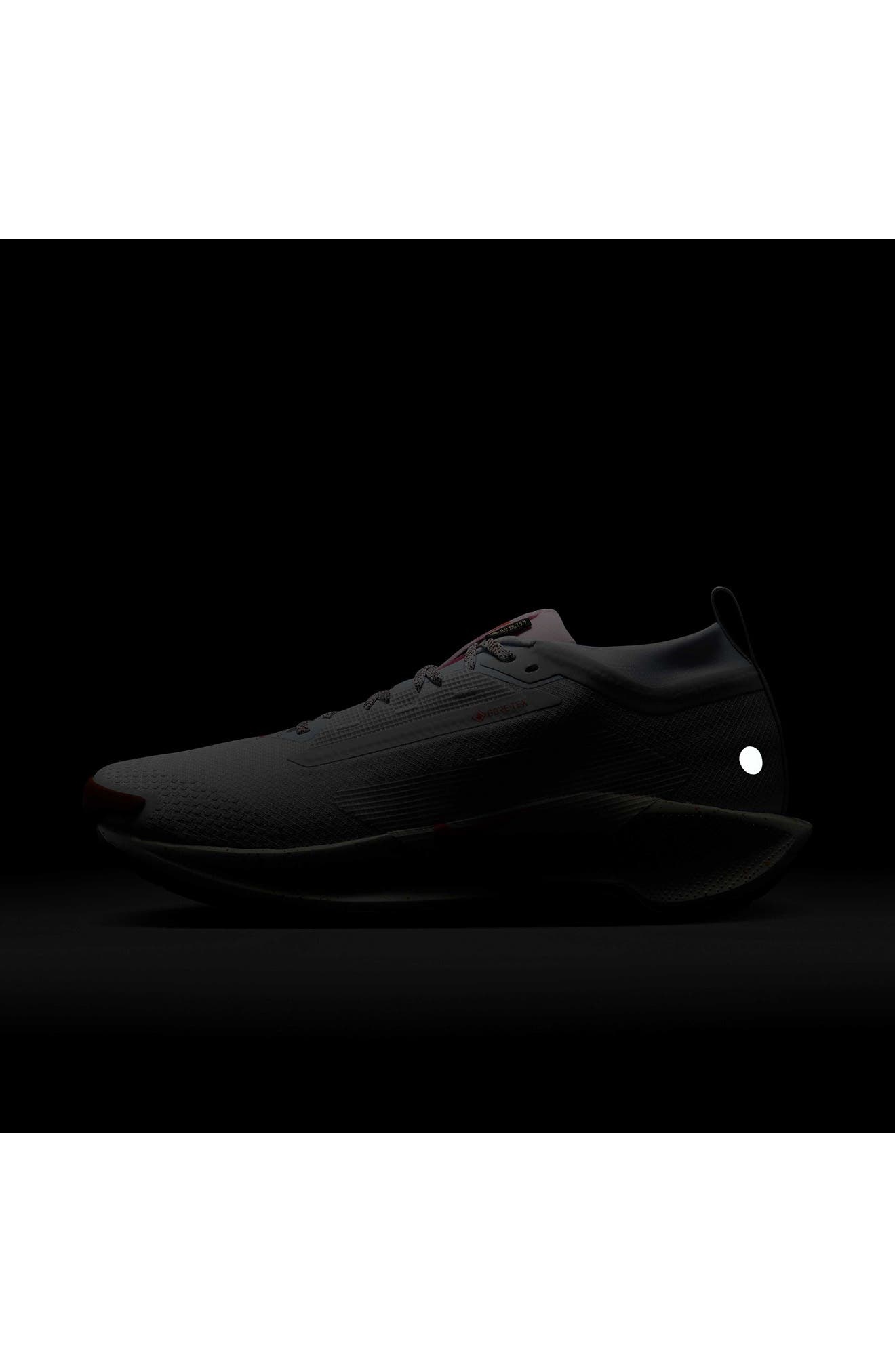 Nike Pegasus Trail 5 Gore-Tex® Waterproof Running Shoe in Pure Platinum/Football Grey at Nordstrom - 9
