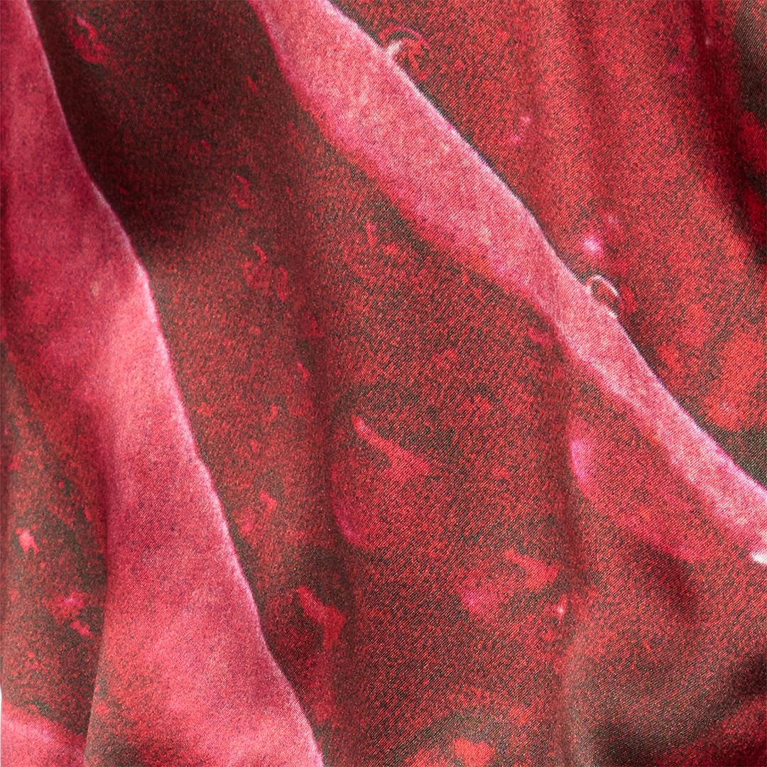 Bodysuit Shirt With Garden Rose Print - 5