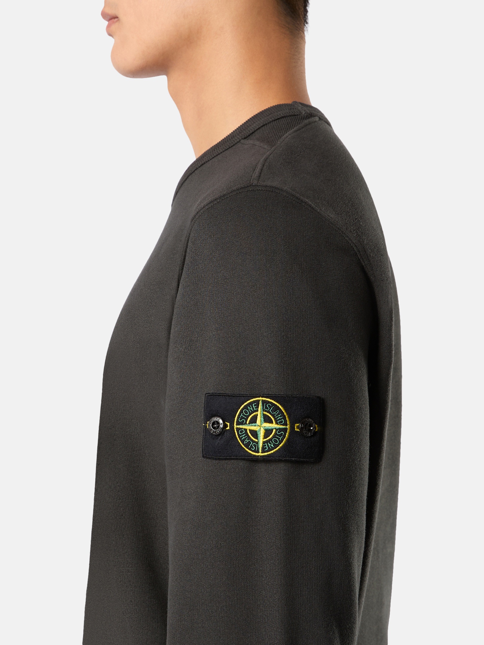 62420 BRUSHED ORGANIC COTTON FLEECE - 3