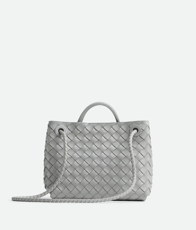 Bottega Veneta Small Andiamo outlook