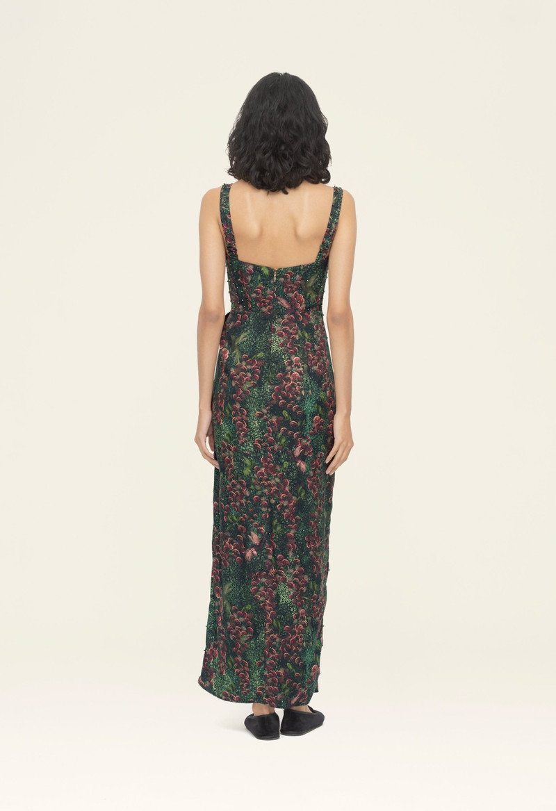 Cinéfila Colibrí Maxi Dress 6