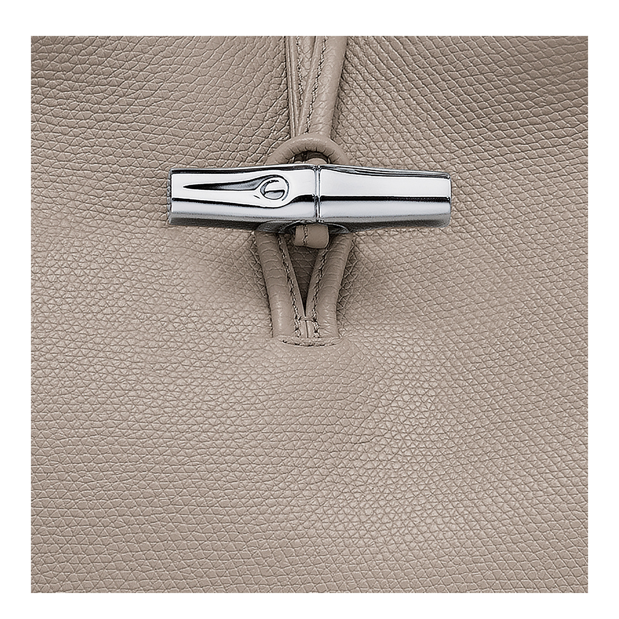 Le Roseau L Handbag Clay - Leather - 6
