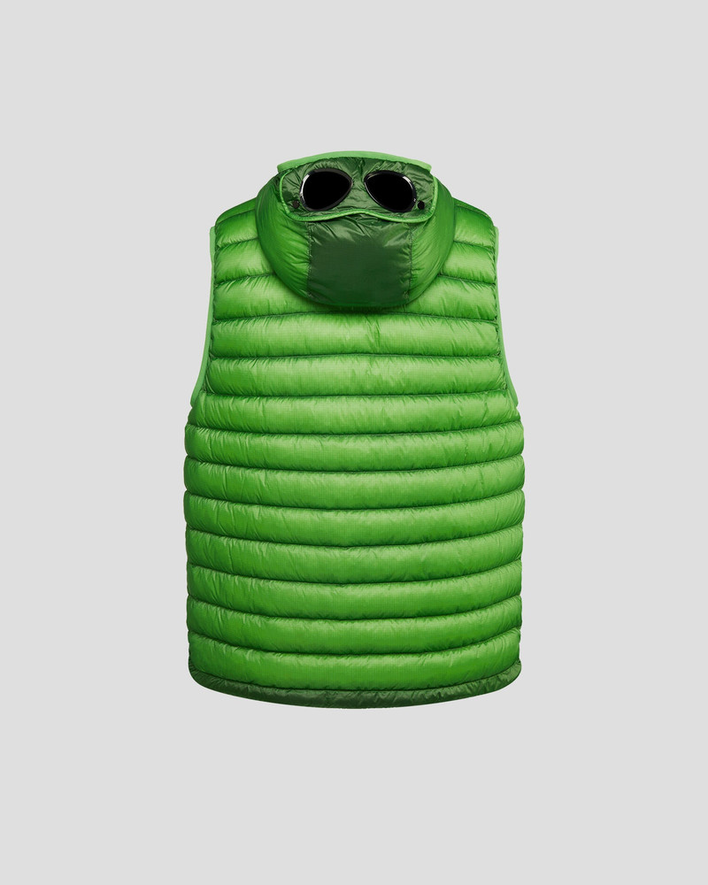 D.D. Shell Goggle Down Vest 9