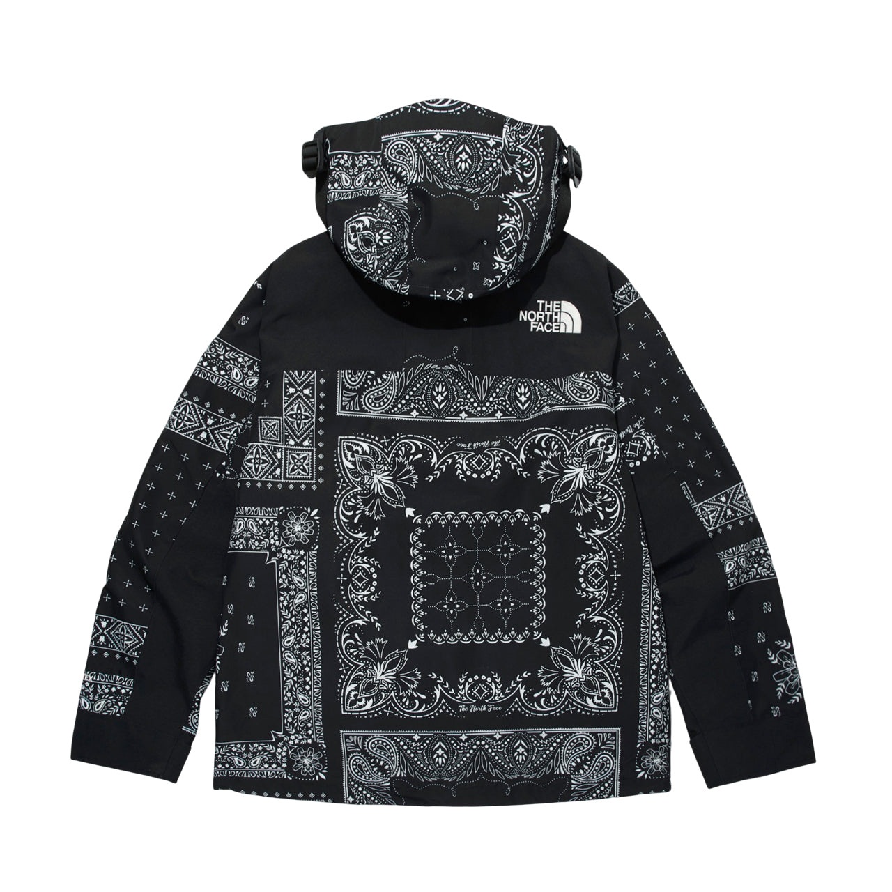 THE NORTH FACE Novelty Gore-Tex Mountain Jacket 'Paisley Black' NJ2GM50E - 2