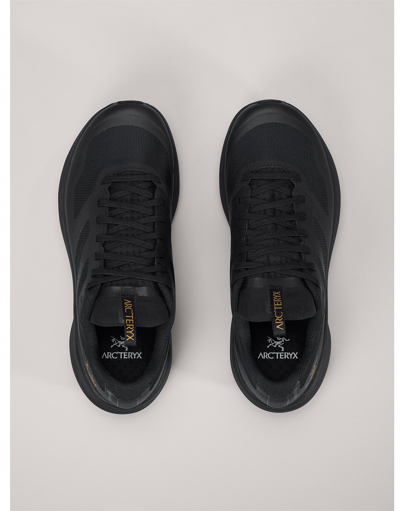 Norvan LD 3 GTX Shoe - 3
