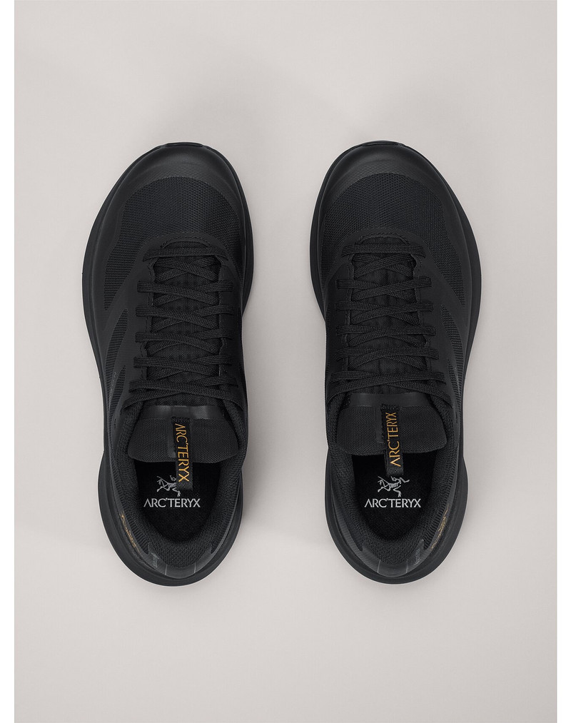 Norvan LD 3 GTX Shoe 3