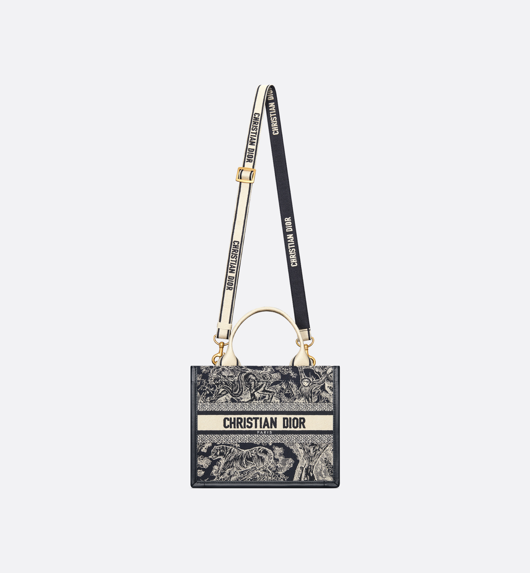 Small Dior Book Tote - 5
