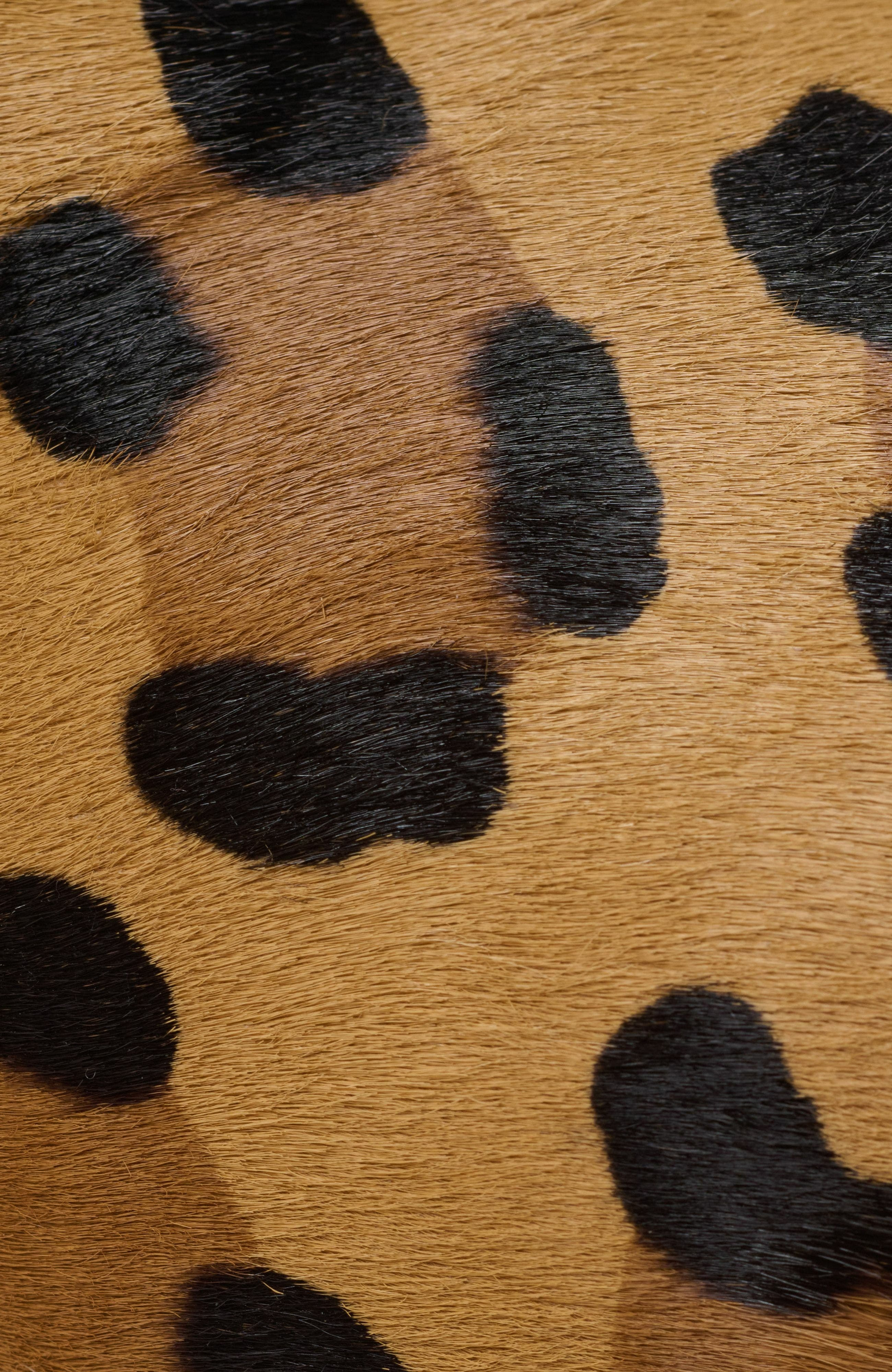 Balmain Anthem Leopard Print Ponyskin Leather And Faux Fur Mules in Brown at Nordstrom - 8