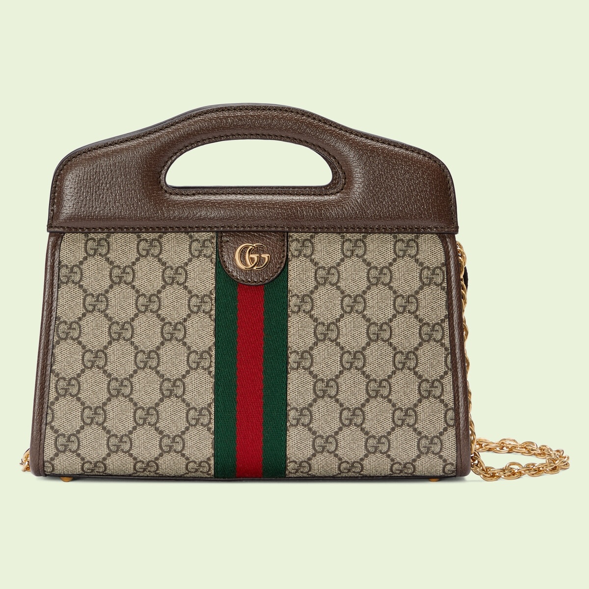 Ophidia small tote with Web - 1