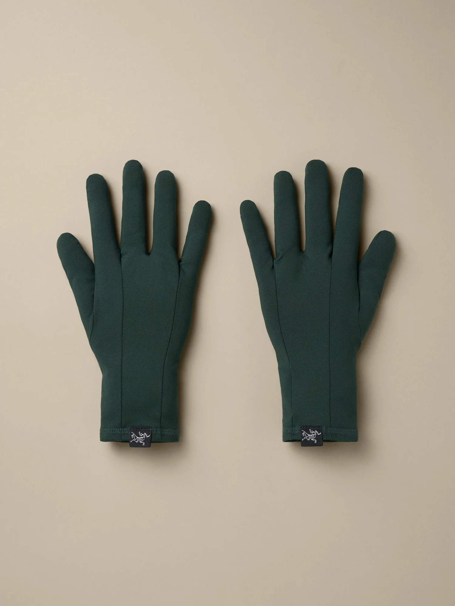 Rho Glove - 1