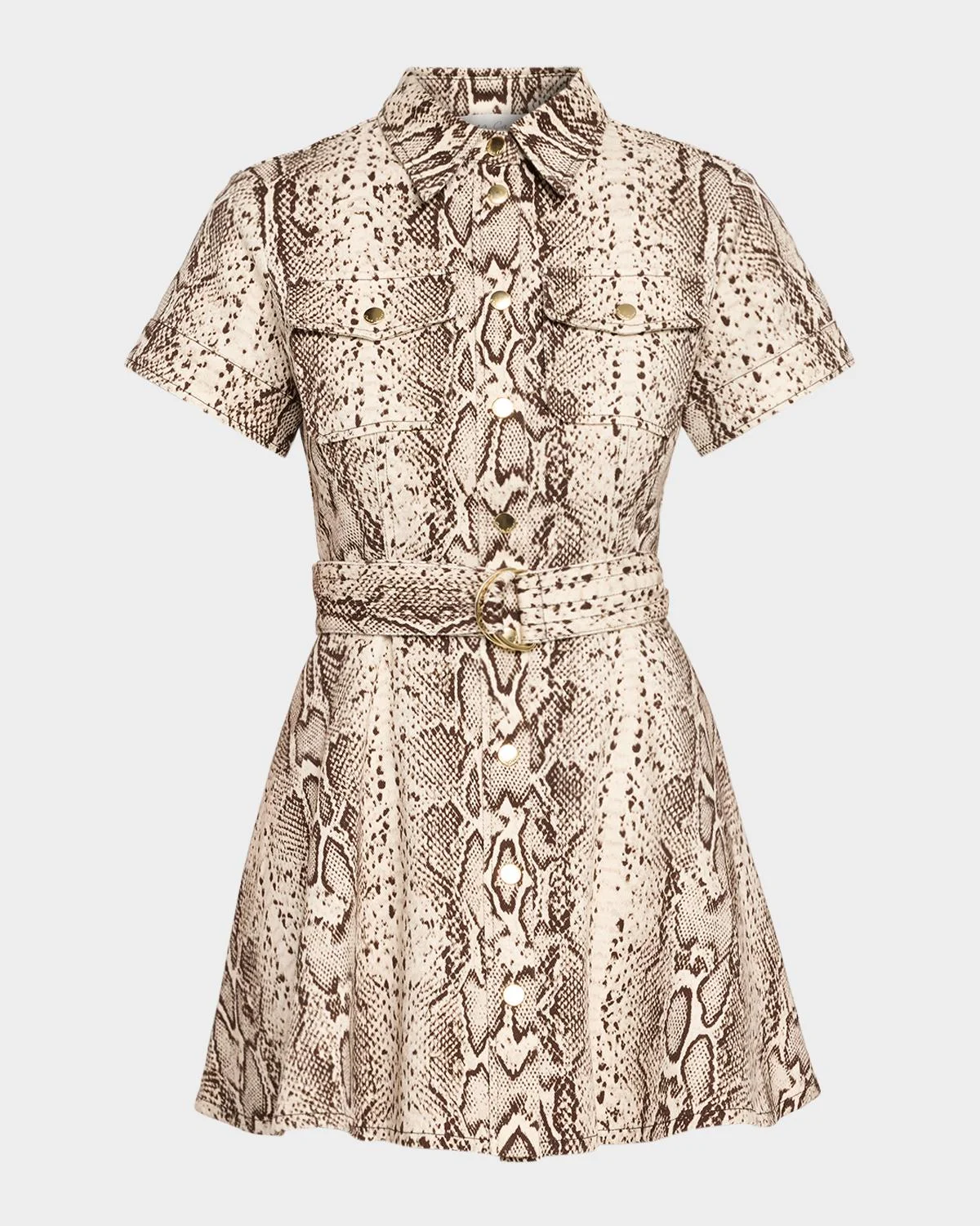 Walter Snakeskin-Printed Cotton Canvas Mini Dress - 1