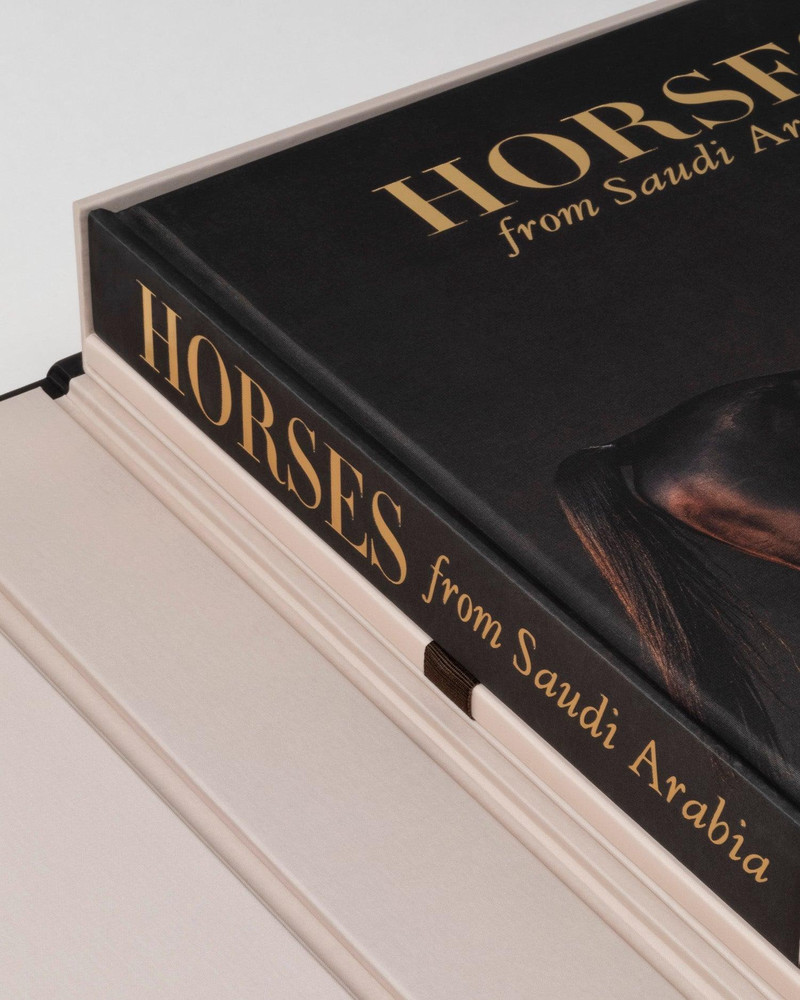 Horses from Saudi Arabia 4