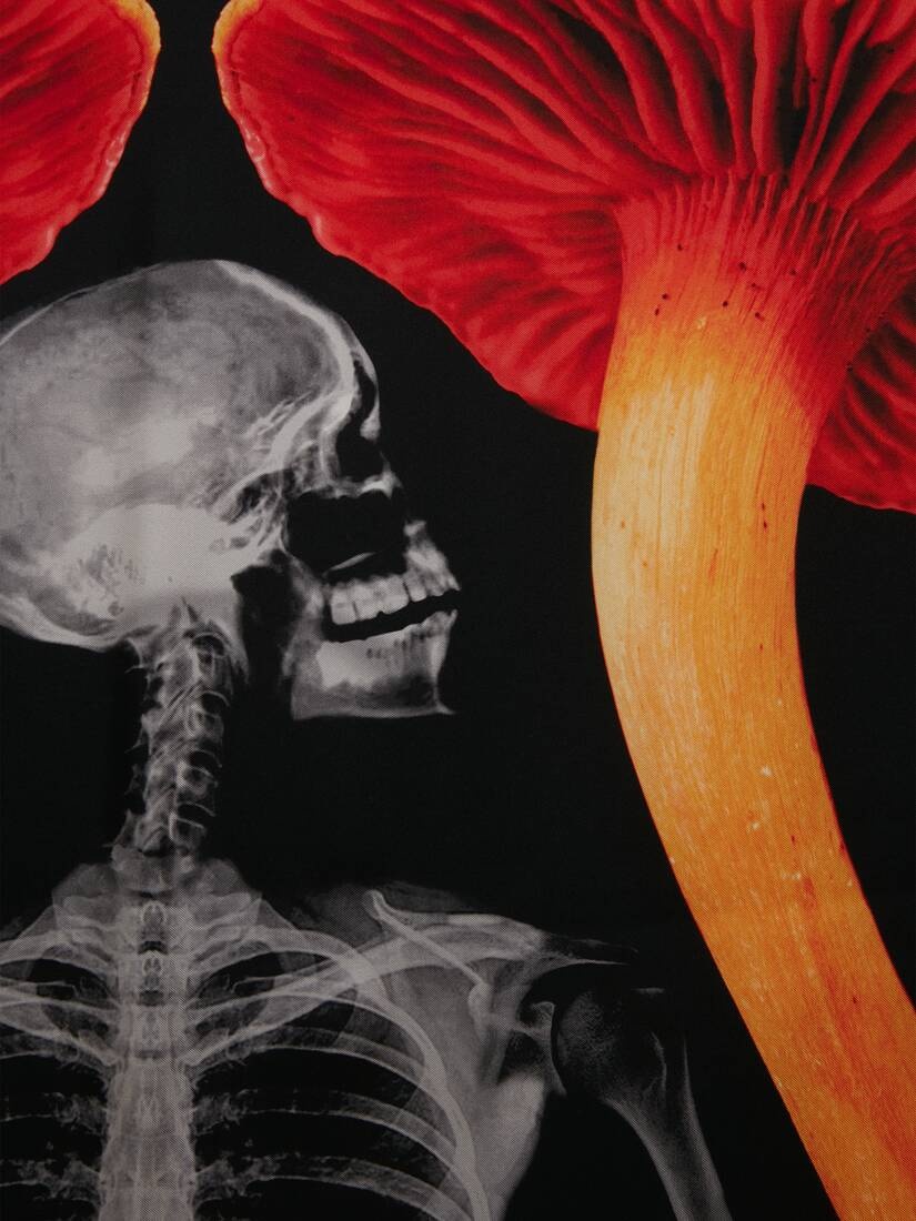 Women's Mushroom Skeleton Foulard in Black/orange - 3