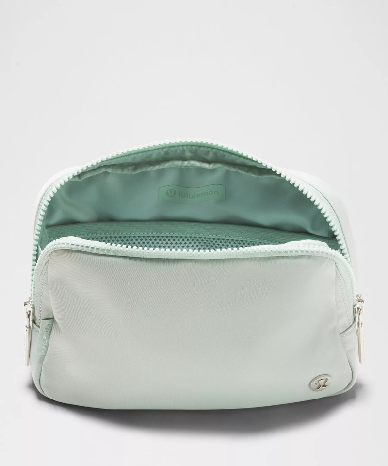 Everywhere Belt Bag Large 2L 5