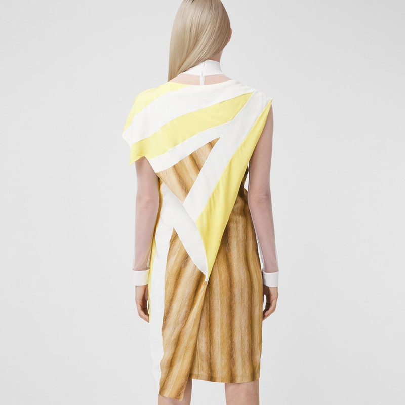 Flag and Animal Print Silk Asymmetric Dress 3