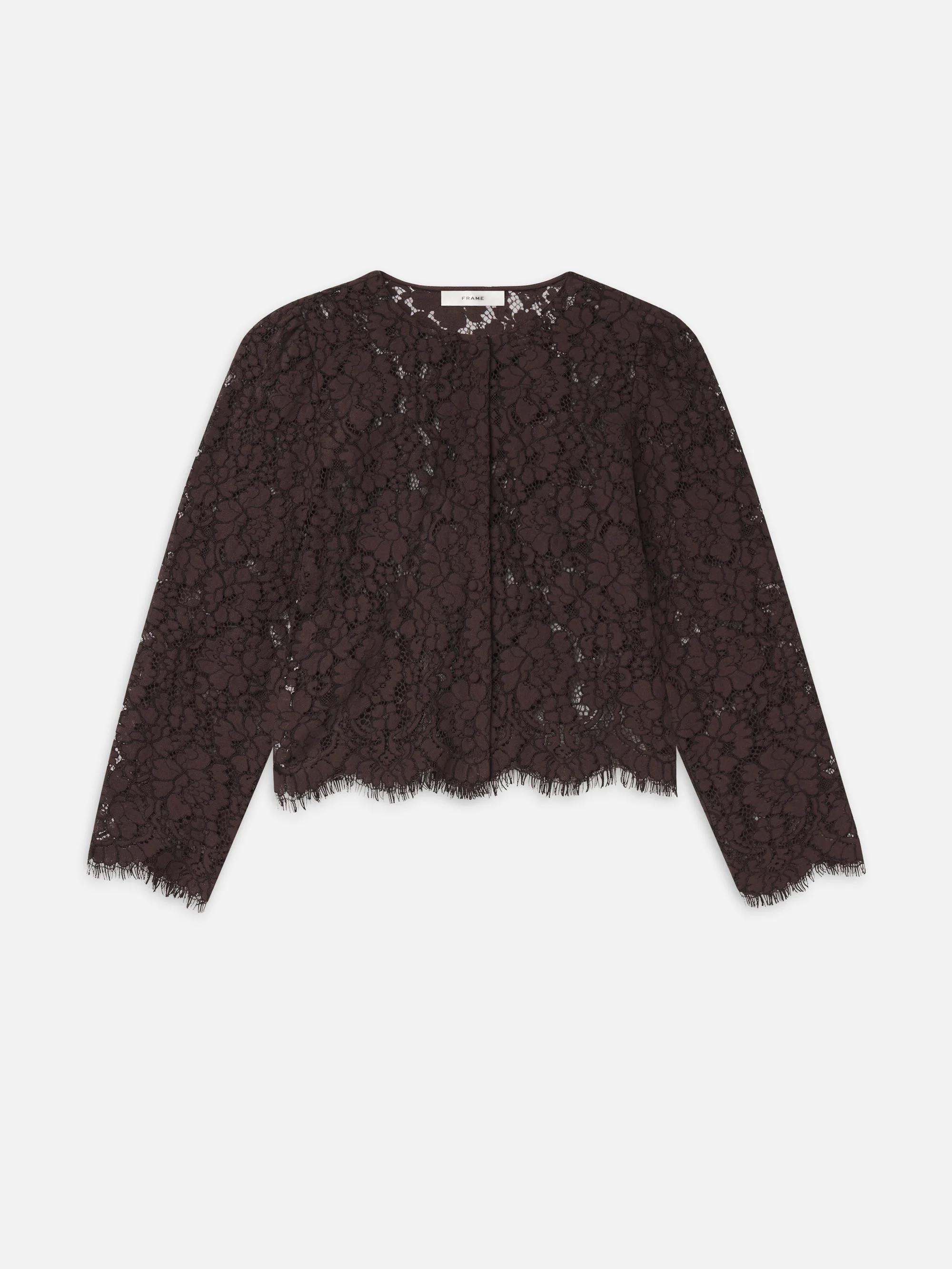 The Lace Blouse - 1