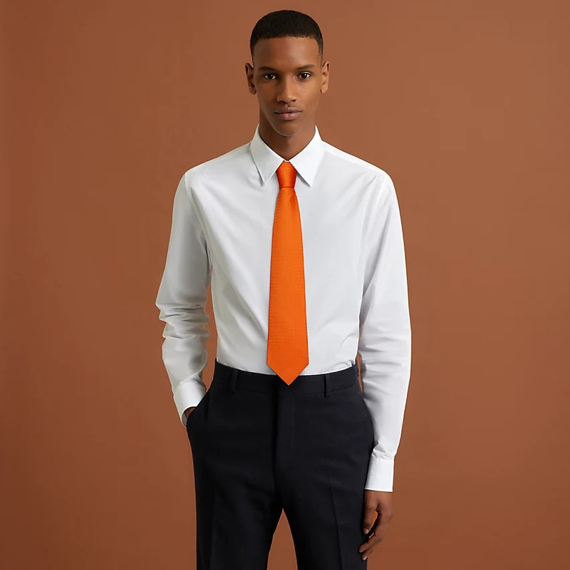 Hermès Faconnee H tie outlook