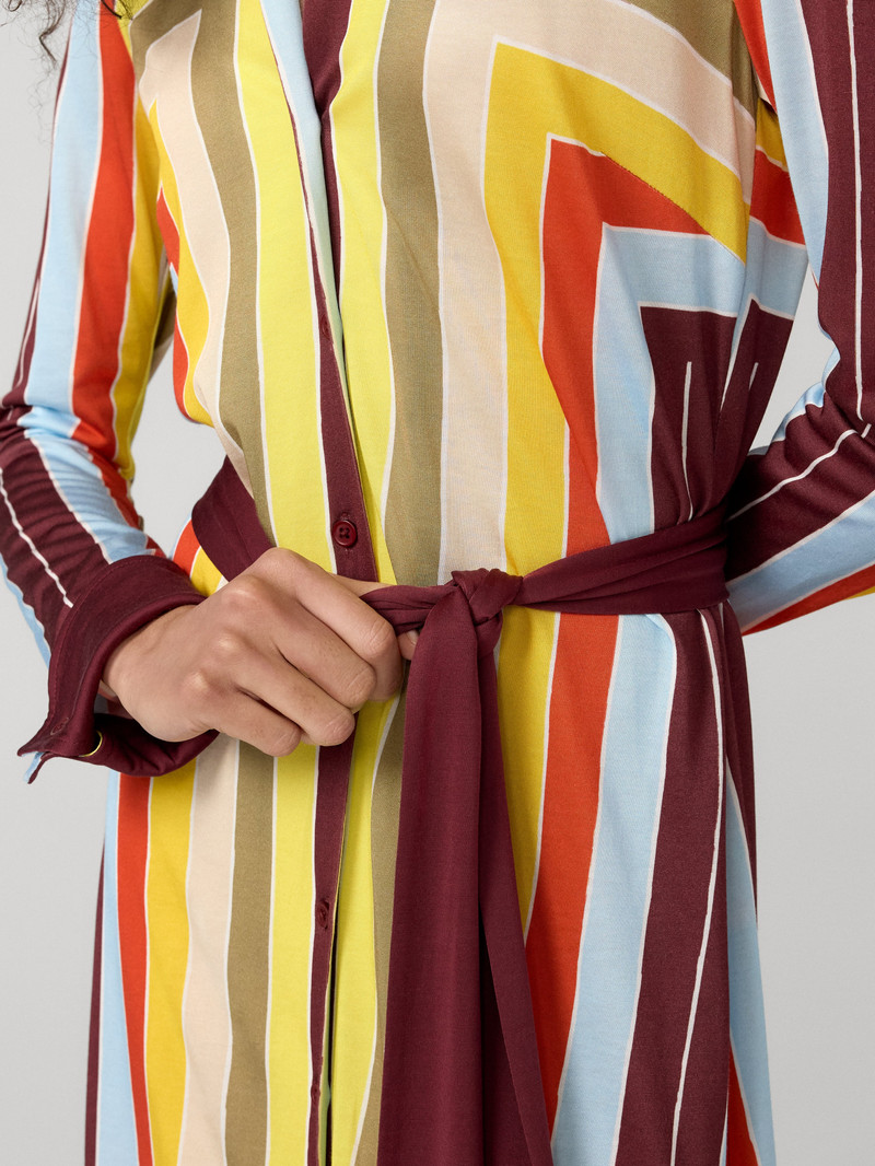 Diane Shirt Dress 3