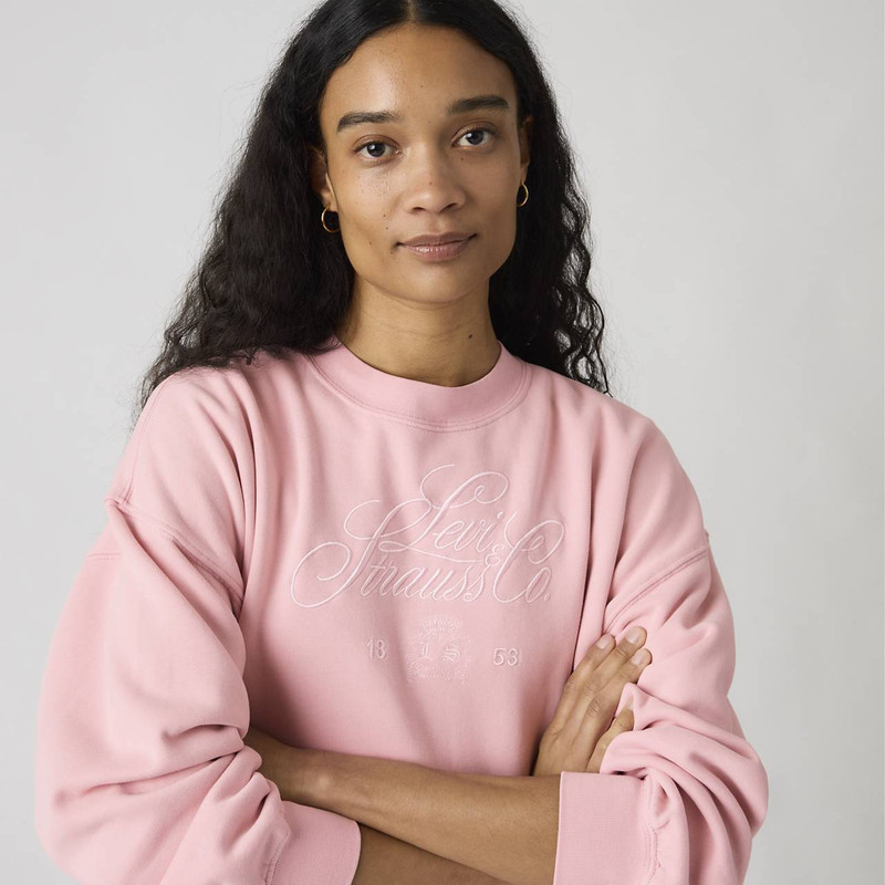 Levi's GRAPHIC VINTAGE BOXY SWEATSHIRT outlook