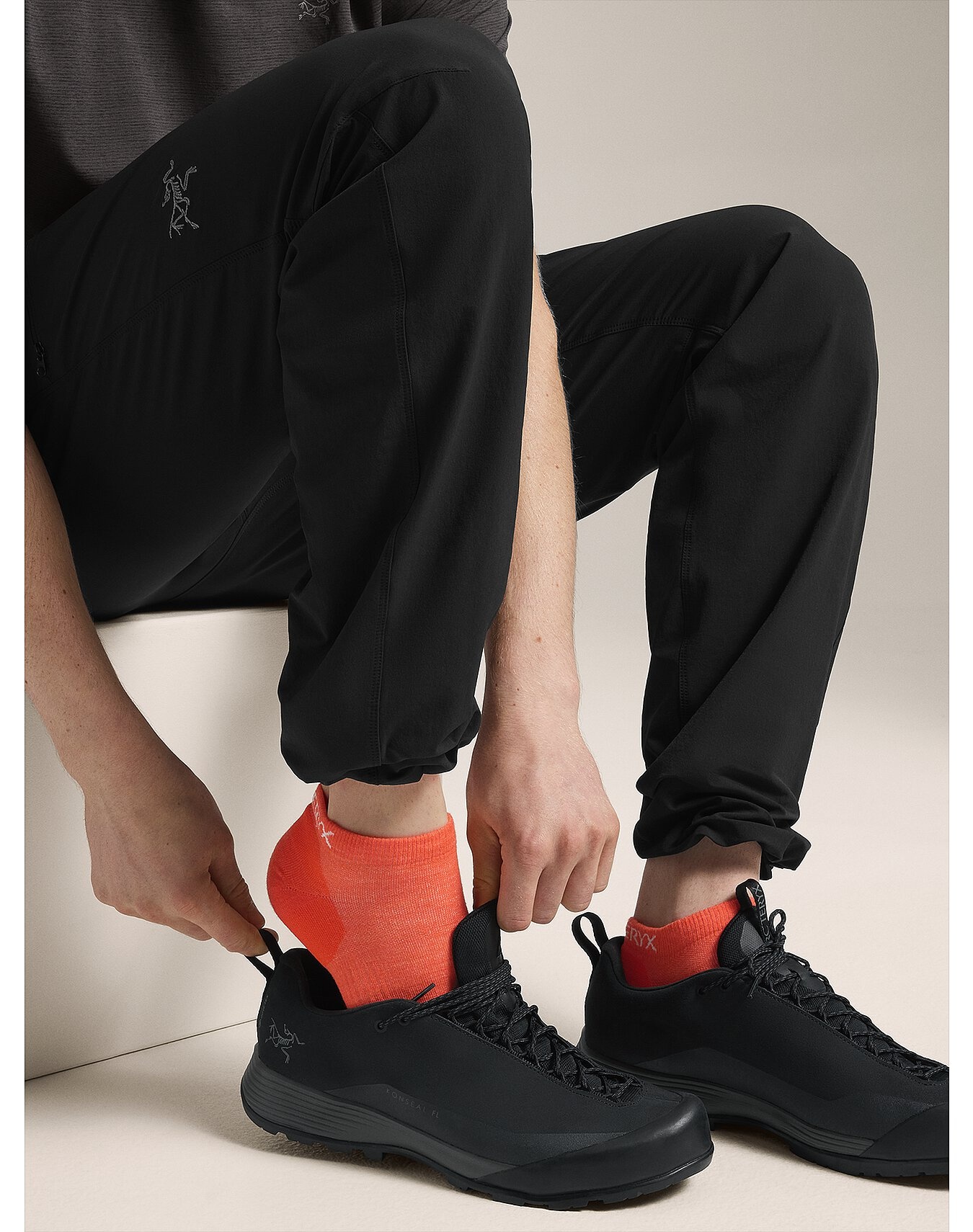 Merino Wool Low Cut Sock - 6