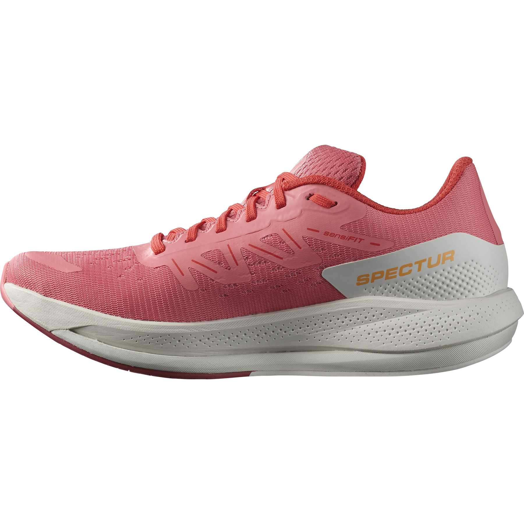 SPECTUR - 4