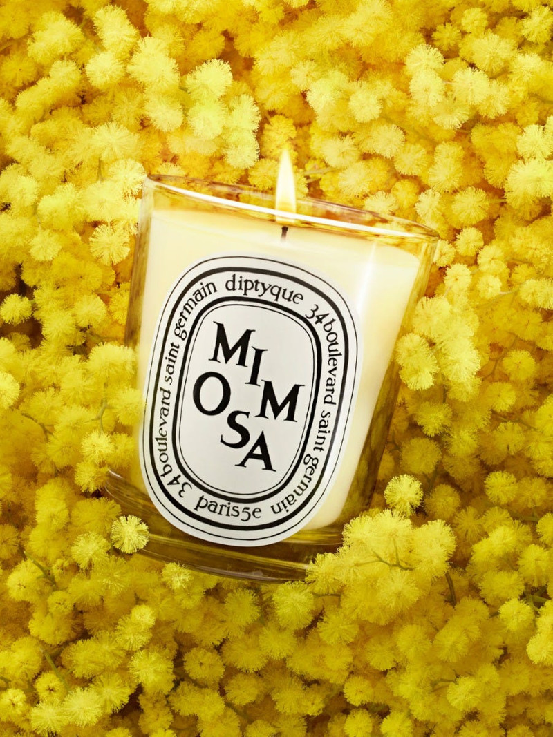 Mimosa - Classic Candle 3