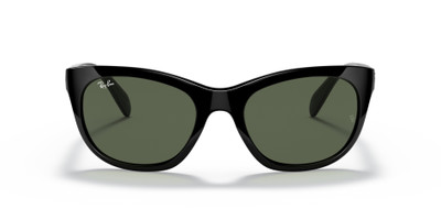 Ray-Ban RB4216 outlook