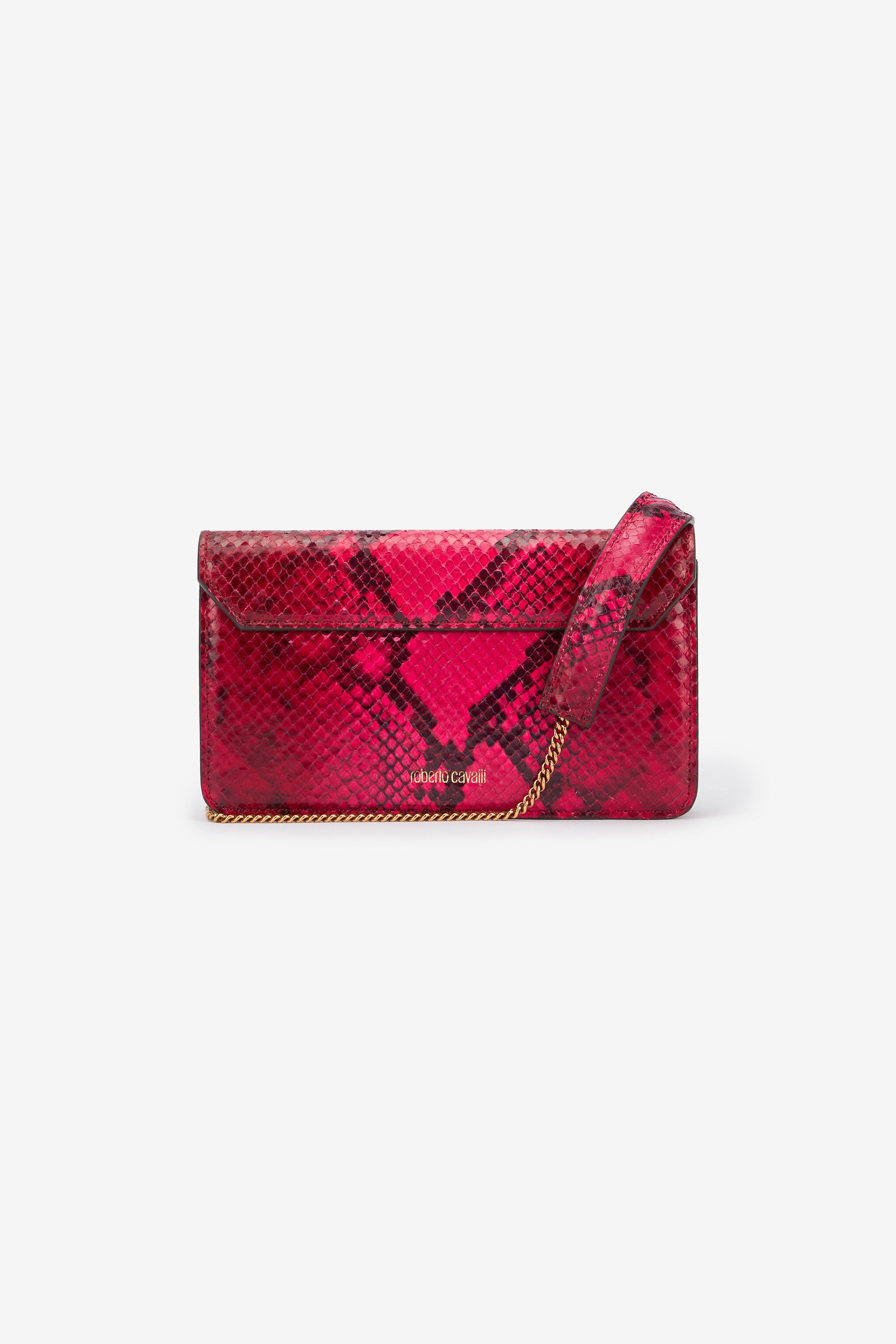 Python And Tiger-Print Bag - 3