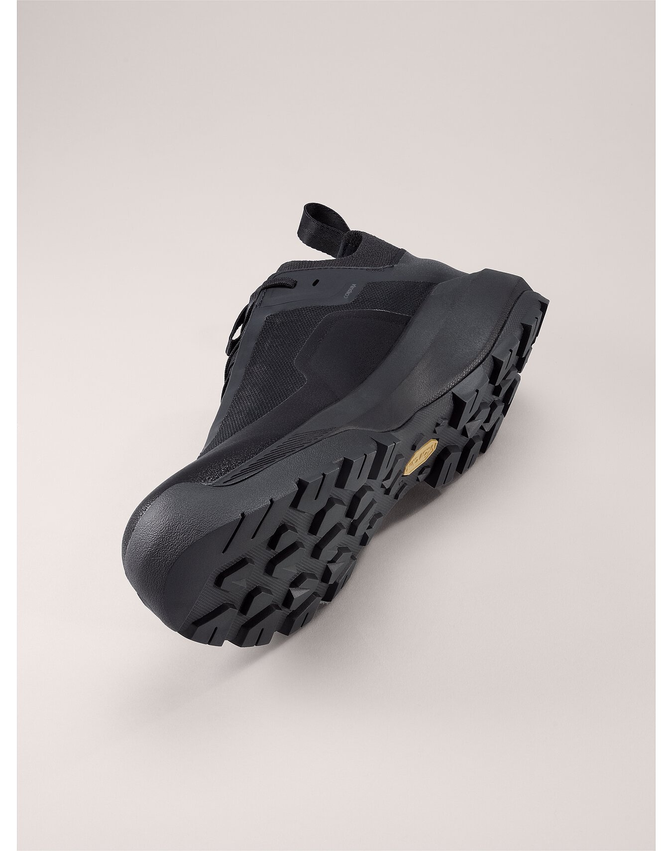 Vertex Alpine GTX Shoe - 5