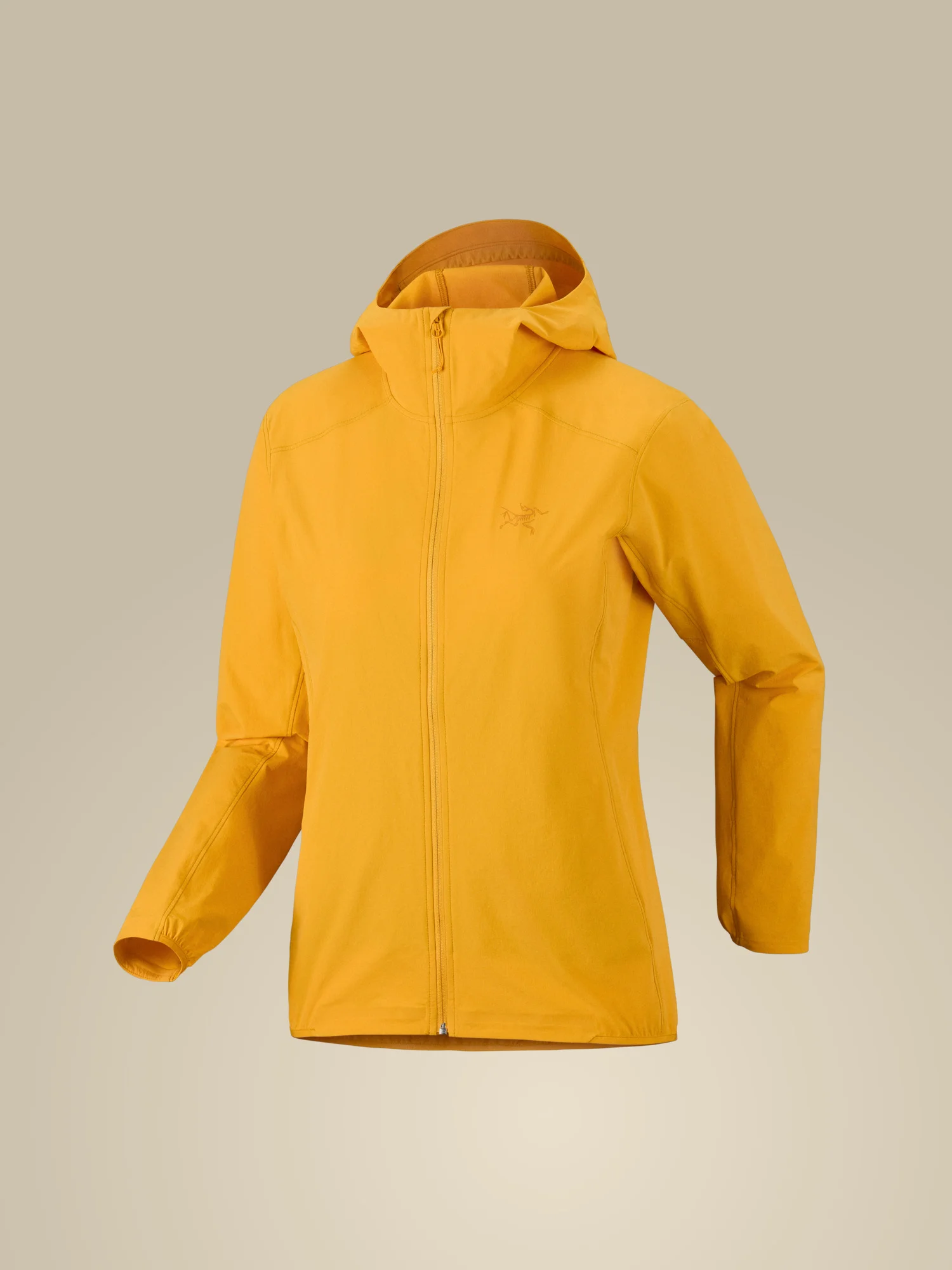 Gamma Lightweight Hoody - 1