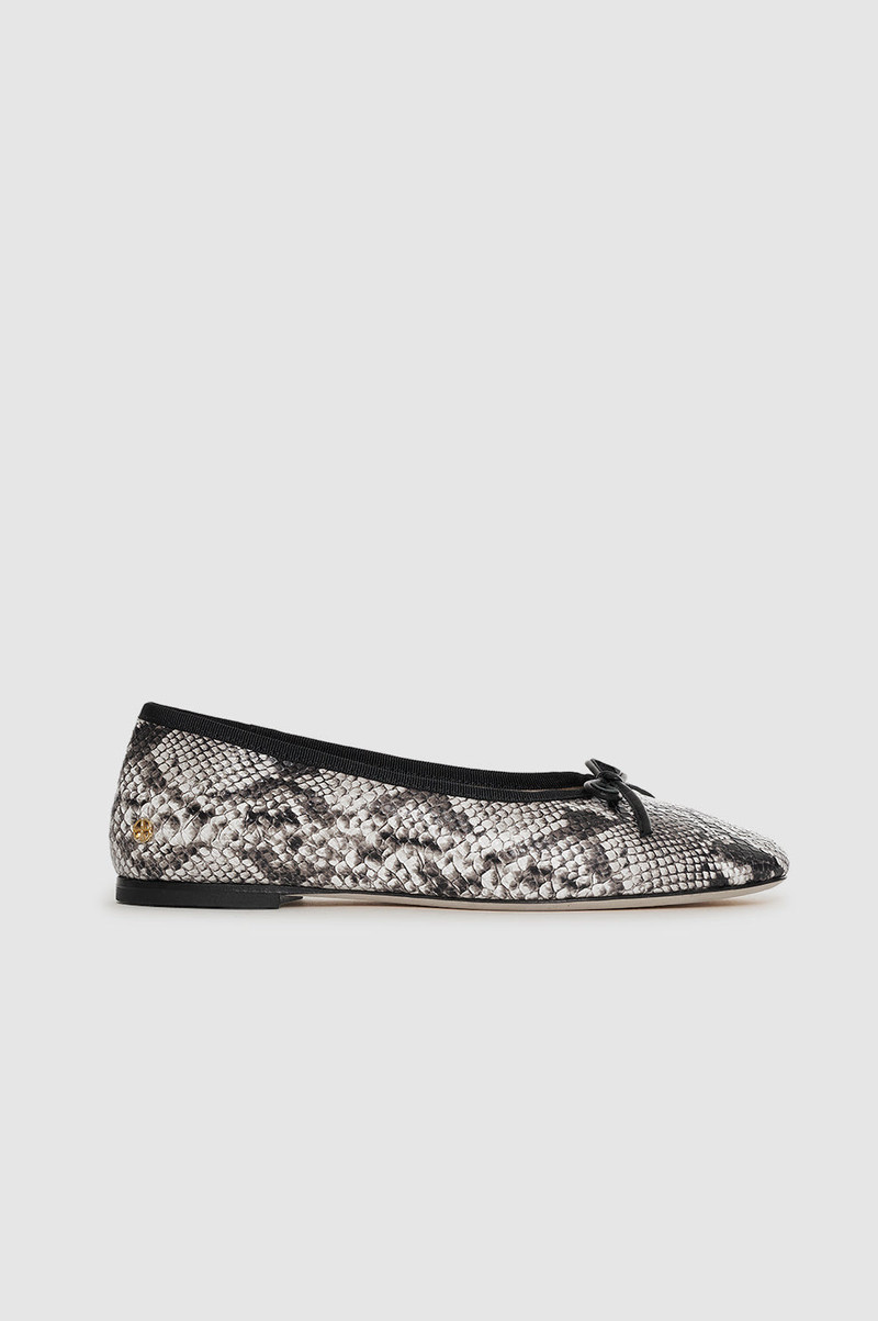Jamie Flats - Python 1