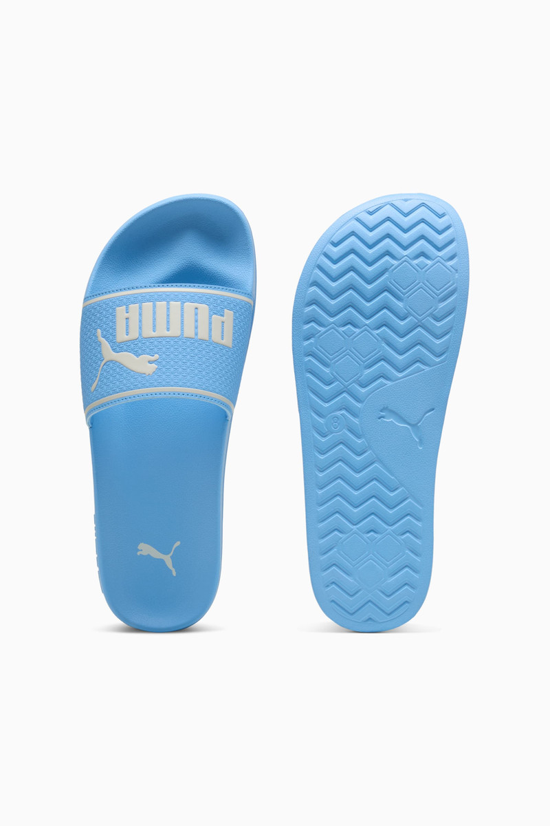 Leadcat 2.0 Slides 1