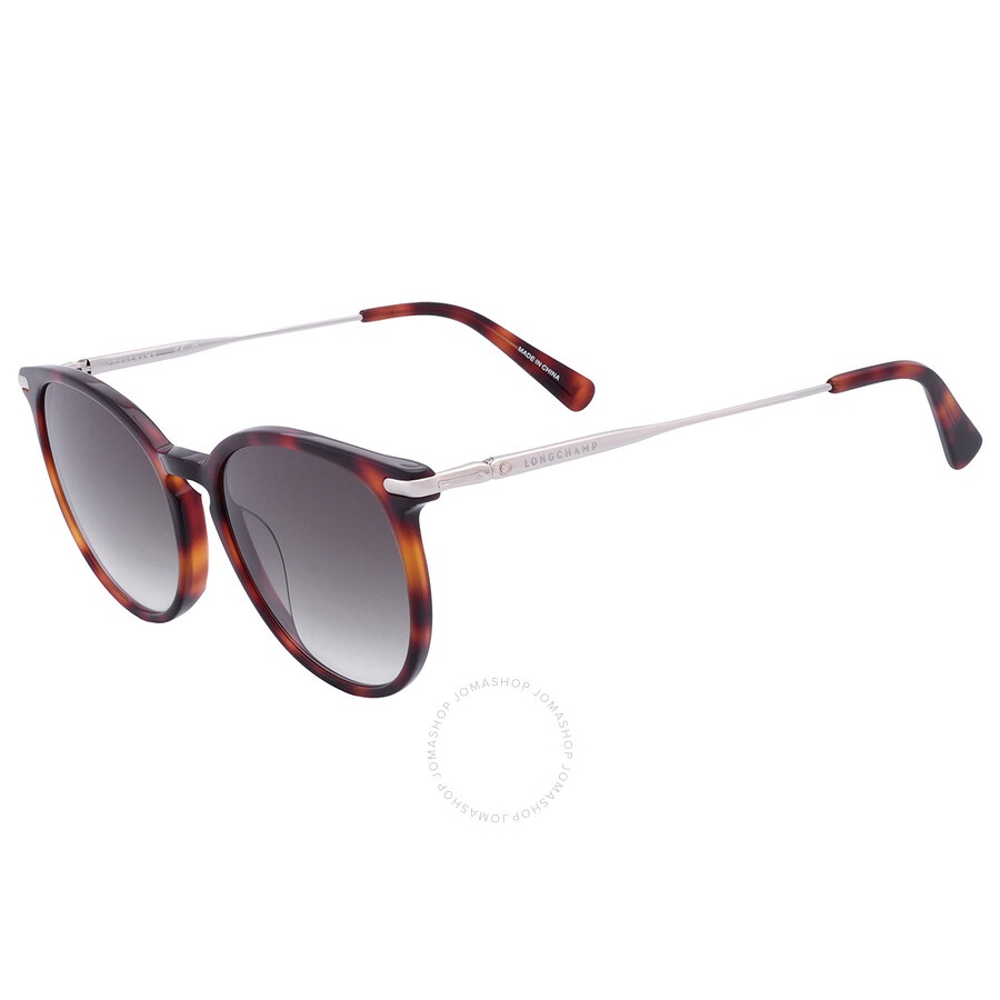Longchamp Grey Gradient Phantos Ladies Sunglasses LO646S 214 54 - 3