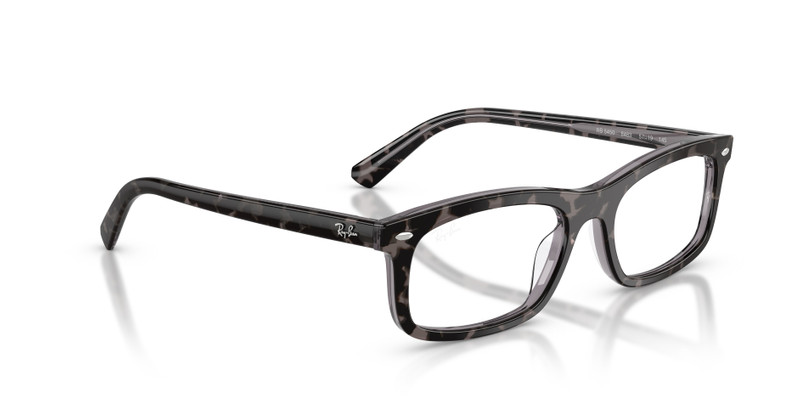 RB5450 OPTICS 7