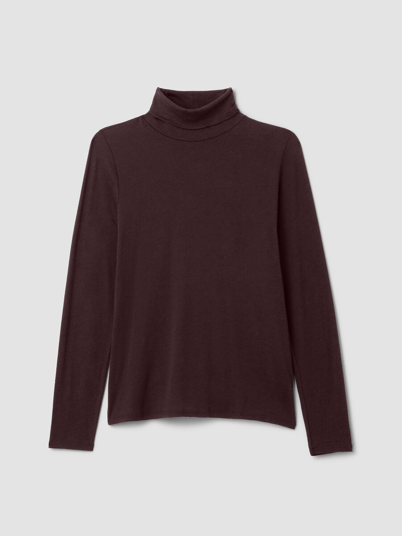 Sheer Cotton Blend Knit Turtleneck Top 1