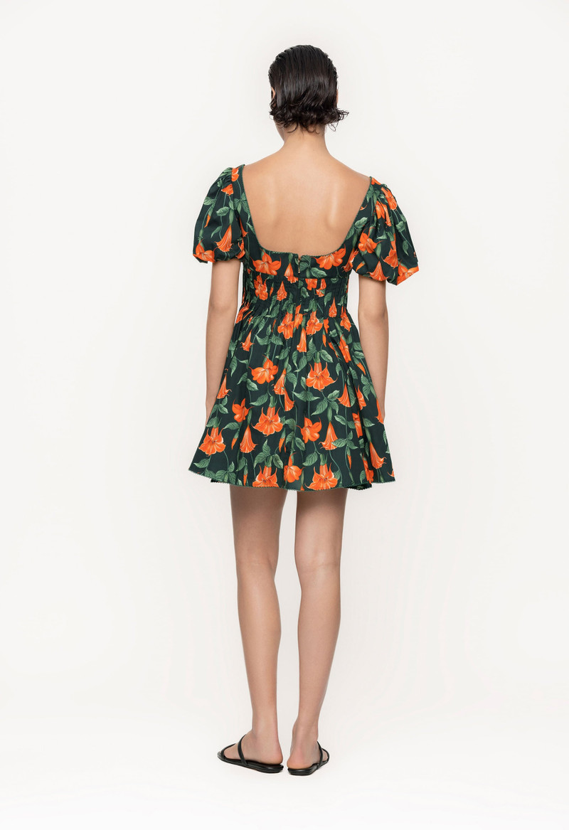 Caramelo Sabanero Nocturo Mini Dress 4