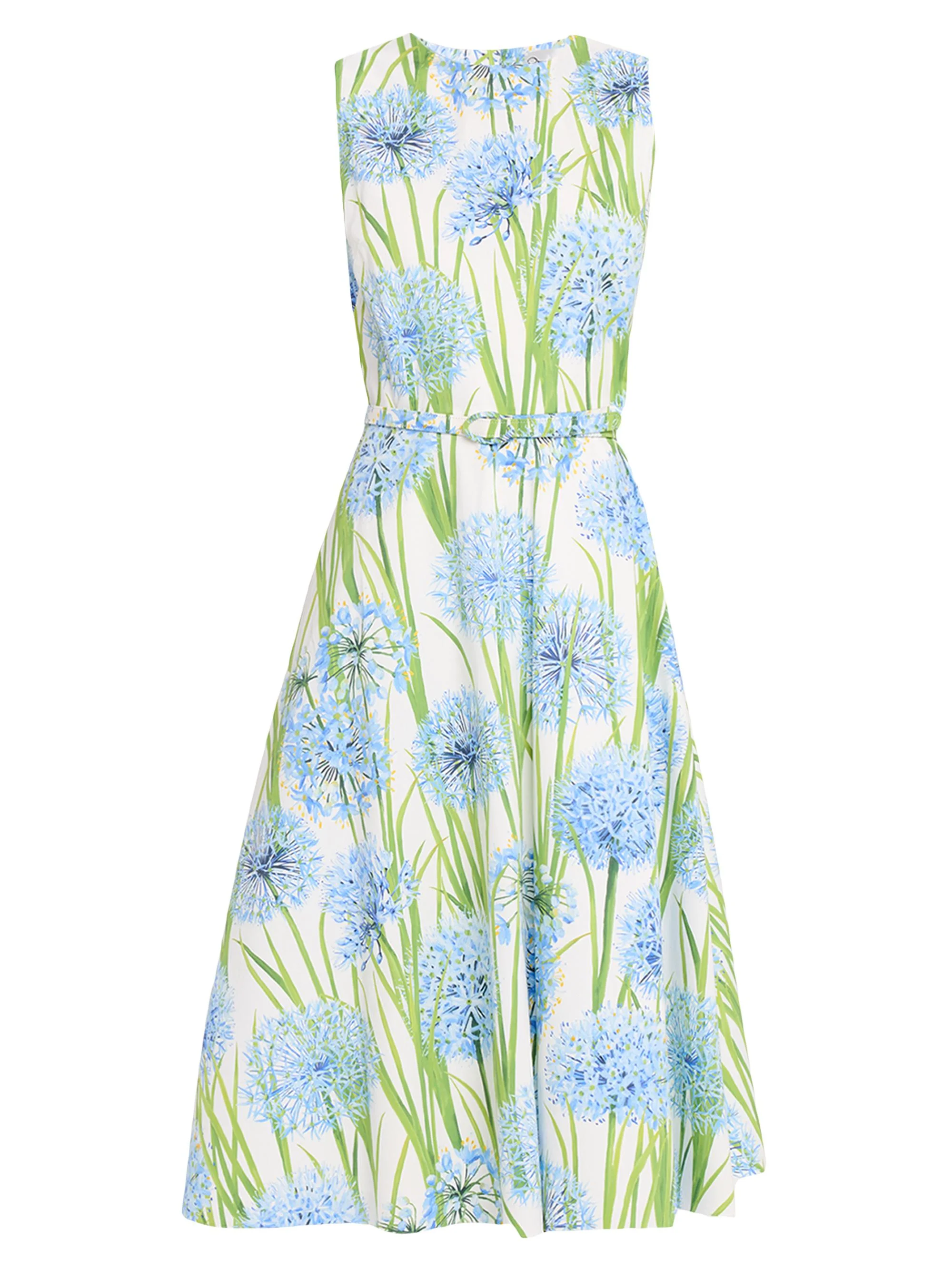 Women's Alliums Floral Poplin Sleeveless A-Line Dress - Blue White - 1