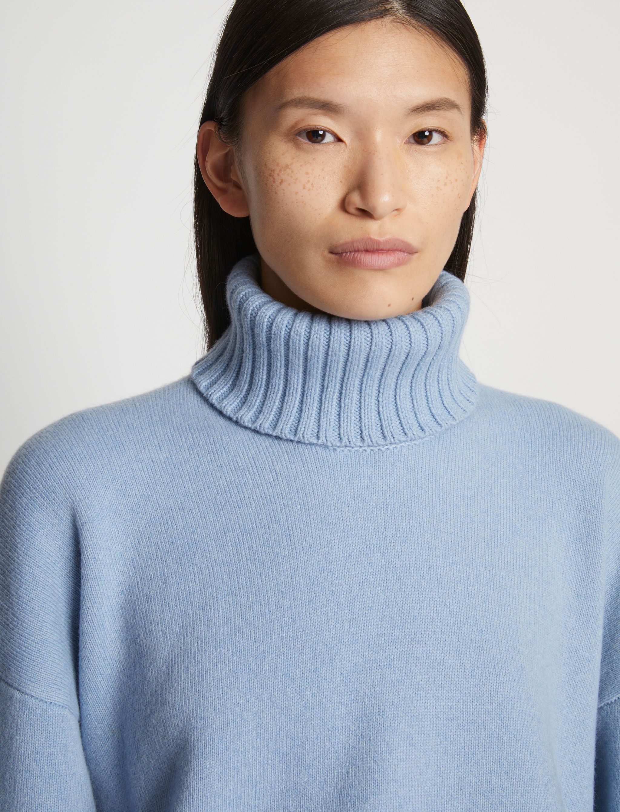 Doubleface Cashmere Oversized Turtleneck - 6