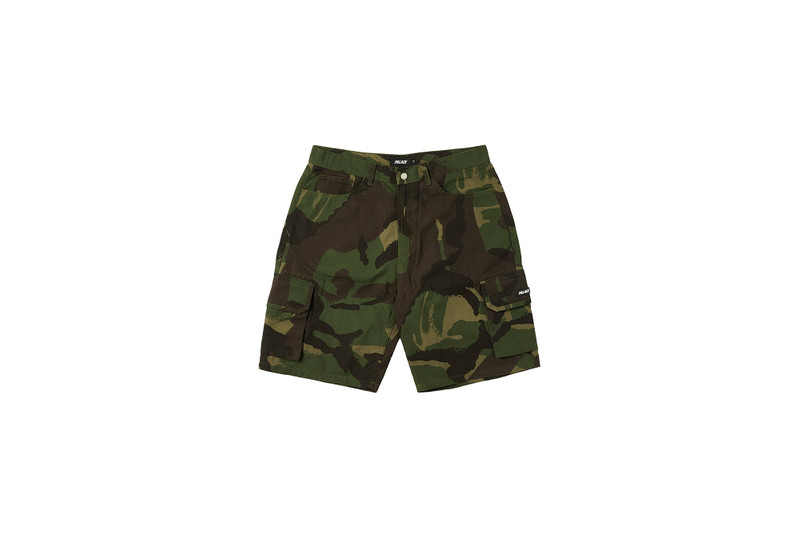 BAGGY CARGO SHORT CAMO 1