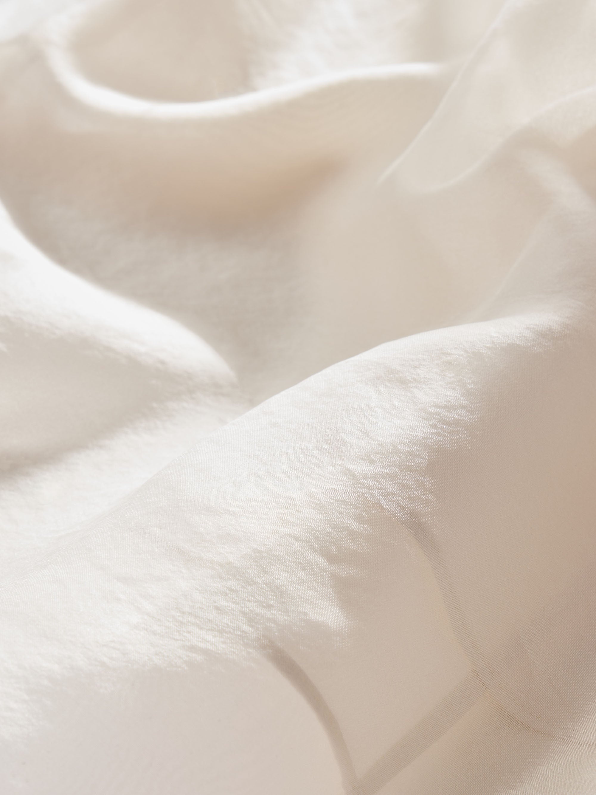 The Silk Organza Skirt in Alabaster - 5